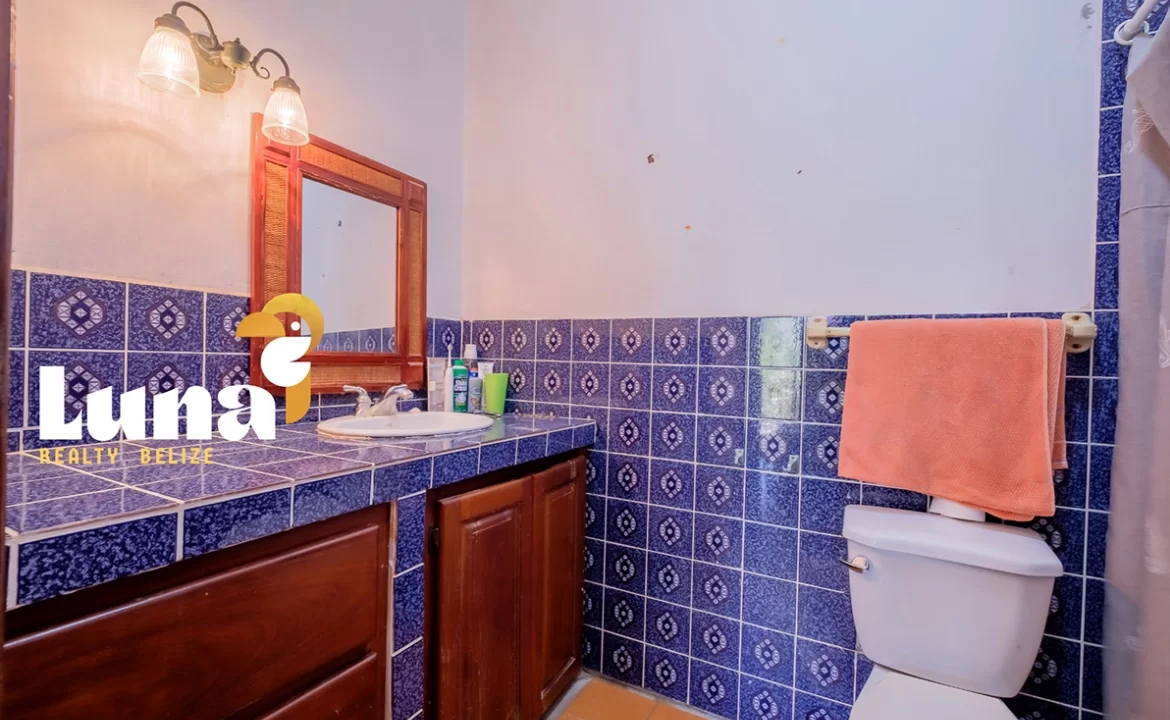 15.-terris-bathroom-_2-1170x785