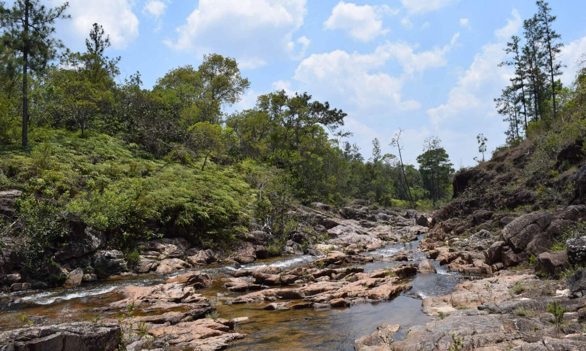 2020Acres20Privassion20Creek20Mountain20Pine20Ridge20001