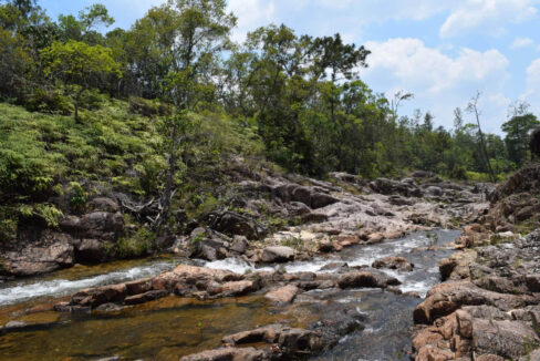 2020Acres20Privassion20Creek20Mountain20Pine20Ridge20002