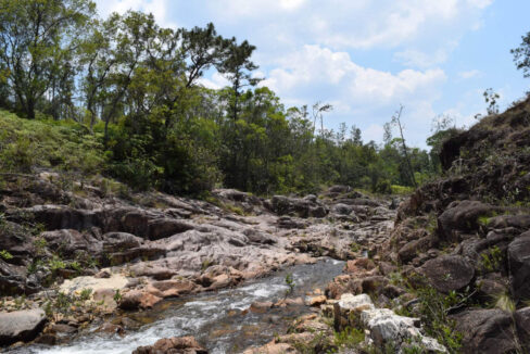 2020Acres20Privassion20Creek20Mountain20Pine20Ridge20004