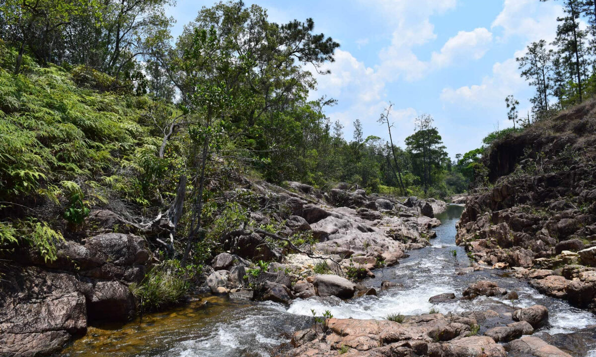 2020Acres20Privassion20Creek20Mountain20Pine20Ridge20005