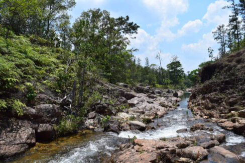 2020Acres20Privassion20Creek20Mountain20Pine20Ridge20005