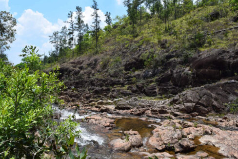 2020Acres20Privassion20Creek20Mountain20Pine20Ridge20006