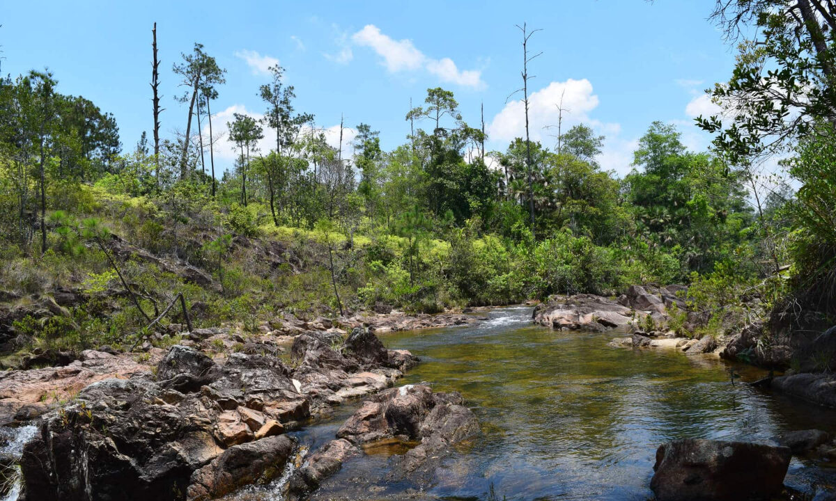 2020Acres20Privassion20Creek20Mountain20Pine20Ridge20008