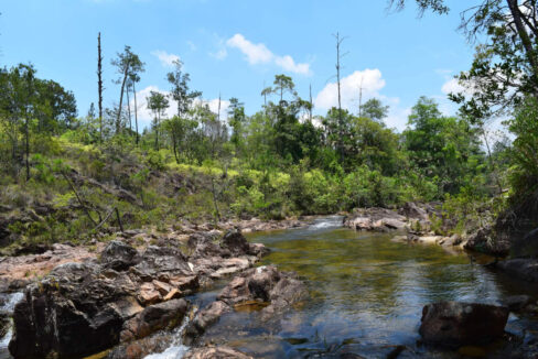 2020Acres20Privassion20Creek20Mountain20Pine20Ridge20008