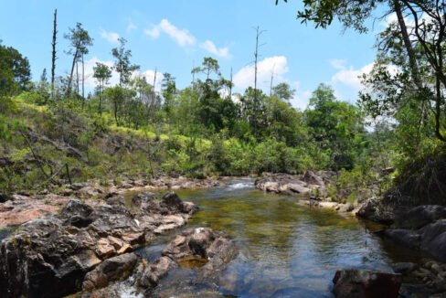 2020Acres20Privassion20Creek20Mountain20Pine20Ridge20009