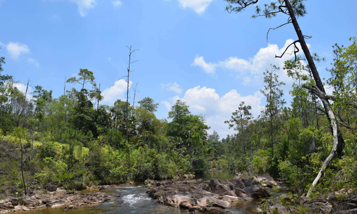 2020Acres20Privassion20Creek20Mountain20Pine20Ridge20012