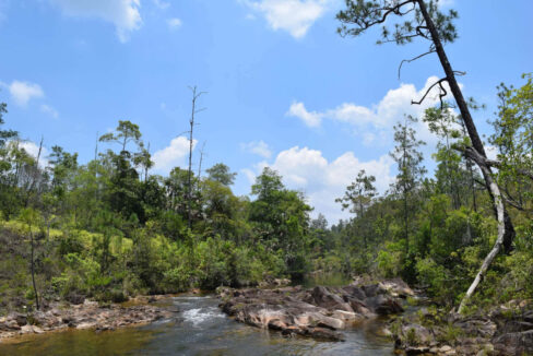 2020Acres20Privassion20Creek20Mountain20Pine20Ridge20012