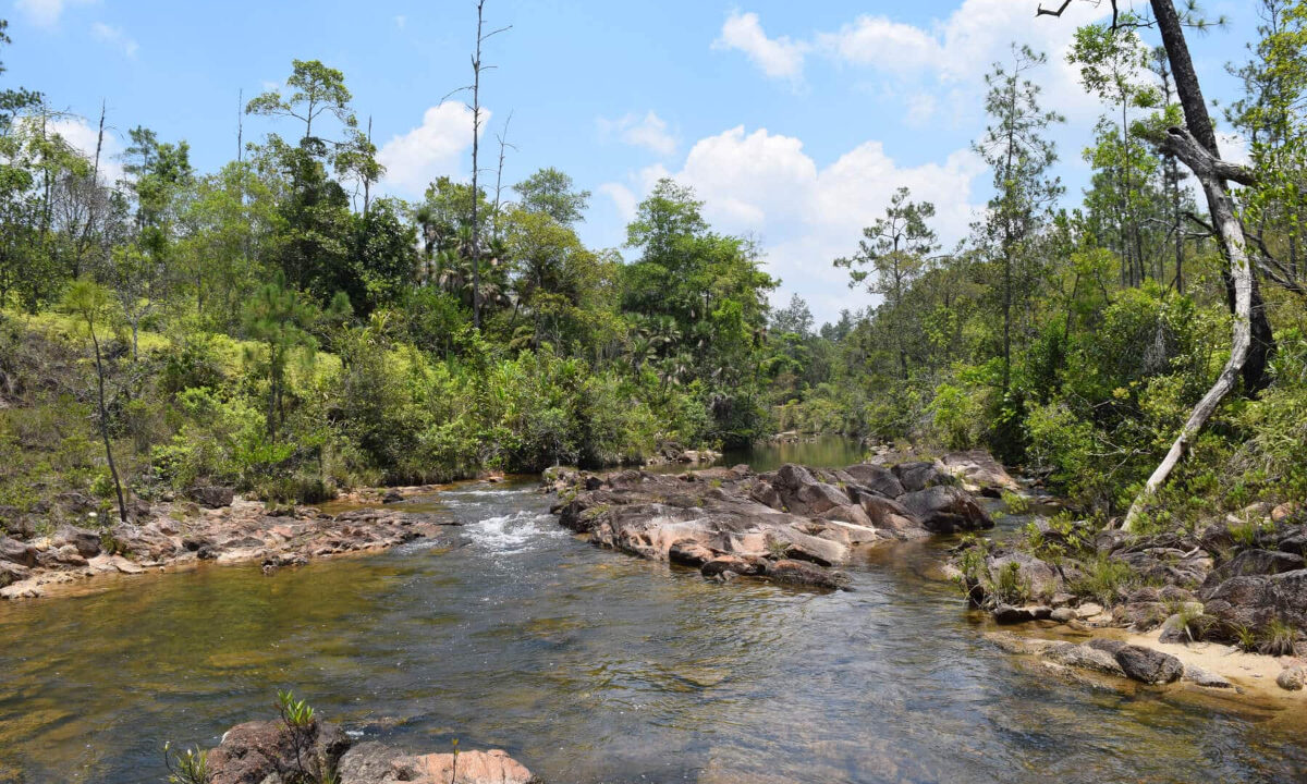 2020Acres20Privassion20Creek20Mountain20Pine20Ridge20013