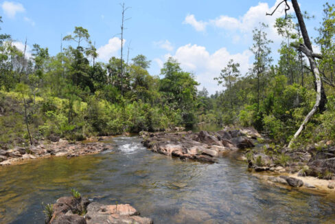 2020Acres20Privassion20Creek20Mountain20Pine20Ridge20013