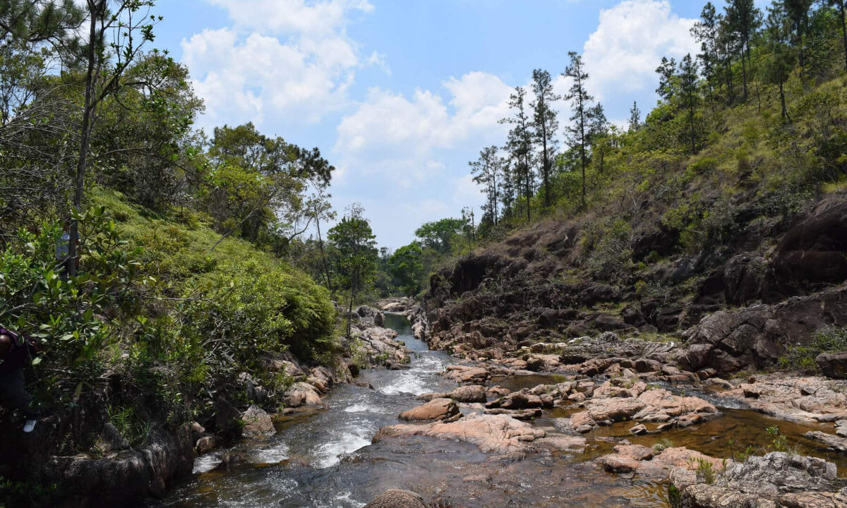 2020Acres20Privassion20Creek20Mountain20Pine20Ridge20014