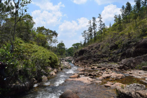 2020Acres20Privassion20Creek20Mountain20Pine20Ridge20014