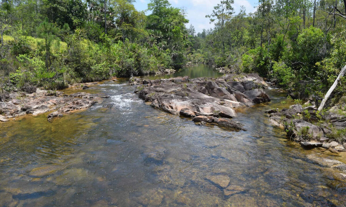 2020Acres20Privassion20Creek20Mountain20Pine20Ridge20015