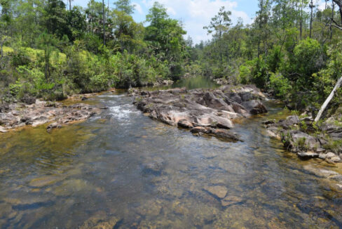 2020Acres20Privassion20Creek20Mountain20Pine20Ridge20015