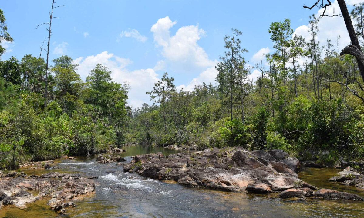 2020Acres20Privassion20Creek20Mountain20Pine20Ridge20016