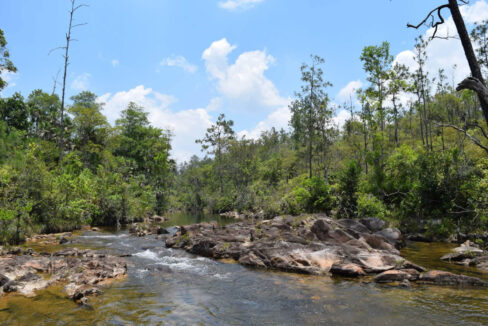 2020Acres20Privassion20Creek20Mountain20Pine20Ridge20016