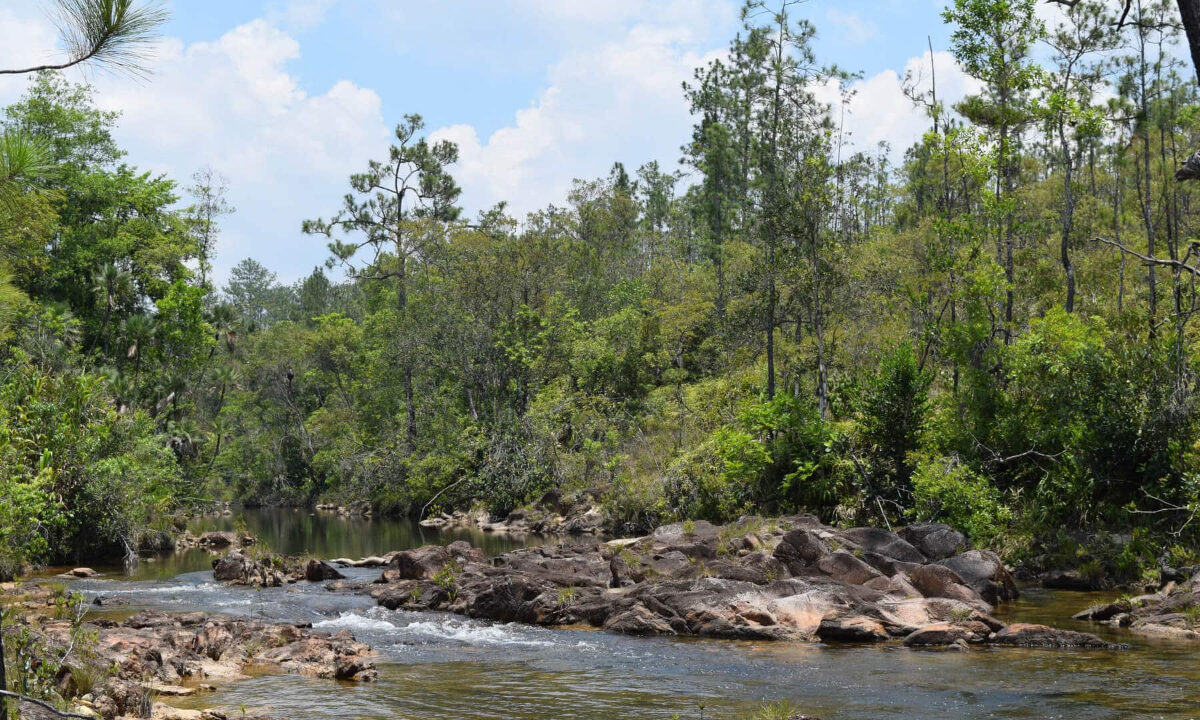 2020Acres20Privassion20Creek20Mountain20Pine20Ridge20017