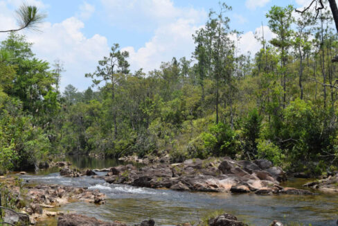2020Acres20Privassion20Creek20Mountain20Pine20Ridge20017