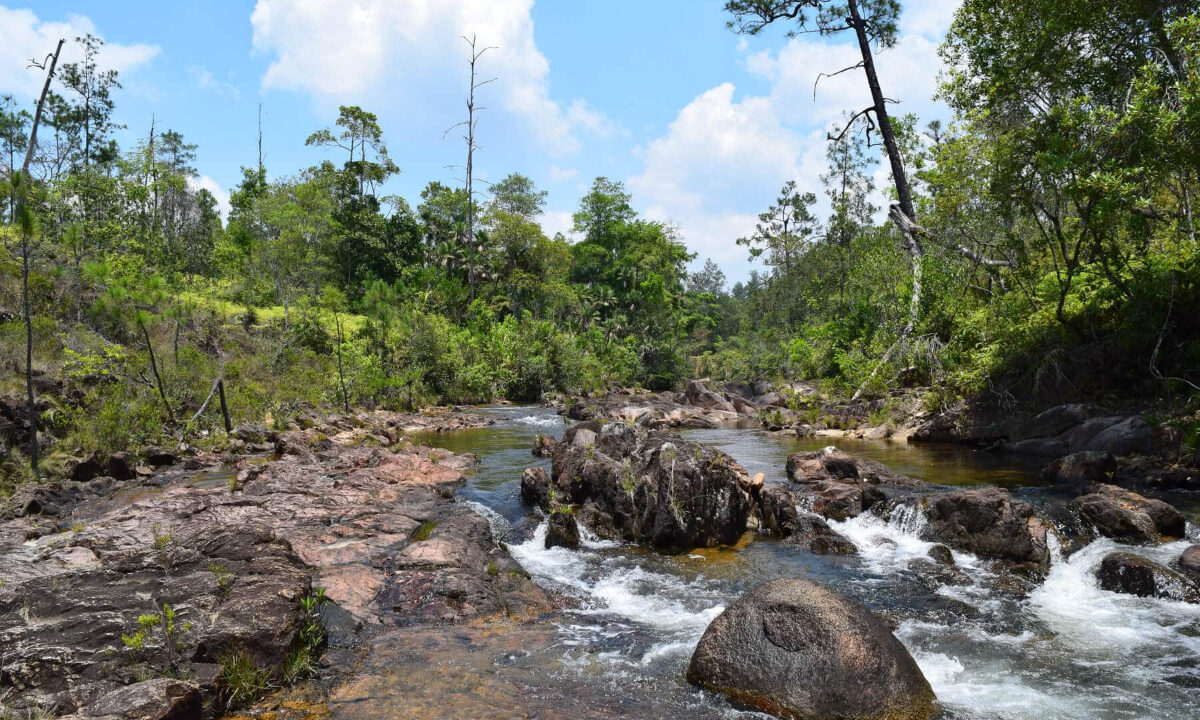 2020Acres20Privassion20Creek20Mountain20Pine20Ridge20019