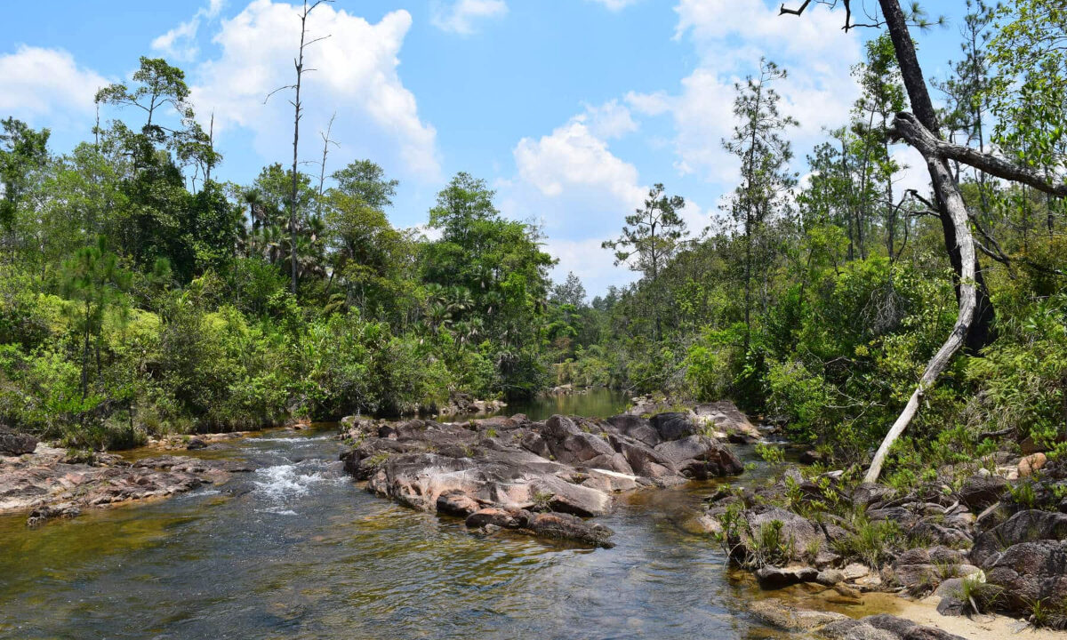 2020Acres20Privassion20Creek20Mountain20Pine20Ridge20021