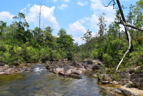 2020Acres20Privassion20Creek20Mountain20Pine20Ridge20021