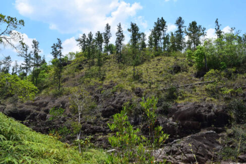 2020Acres20Privassion20Creek20Mountain20Pine20Ridge20022