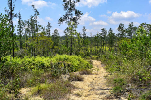 2020Acres20Privassion20Creek20Mountain20Pine20Ridge20028