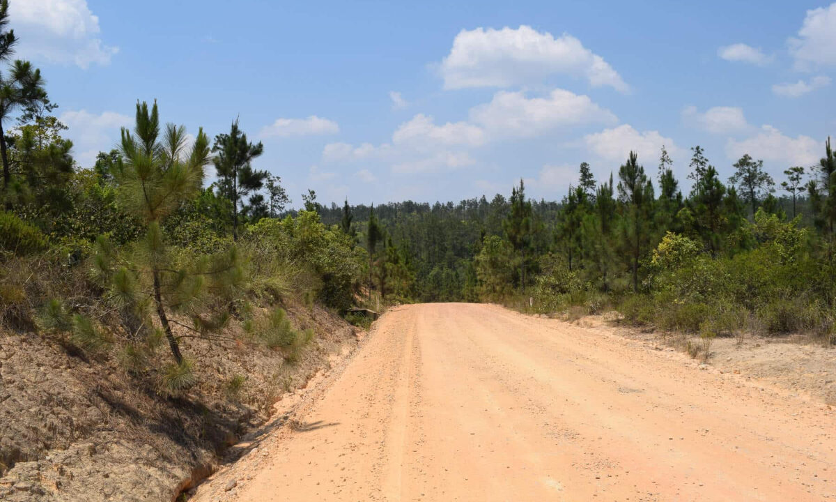 2020Acres20Privassion20Creek20Mountain20Pine20Ridge20029