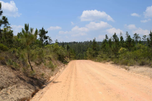 2020Acres20Privassion20Creek20Mountain20Pine20Ridge20029