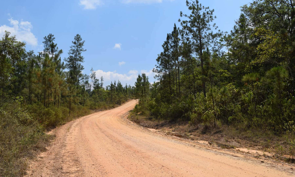 2020Acres20Privassion20Creek20Mountain20Pine20Ridge20031