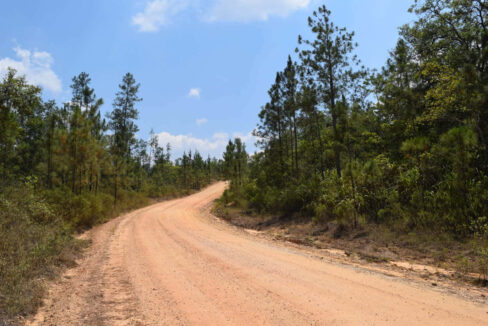 2020Acres20Privassion20Creek20Mountain20Pine20Ridge20031