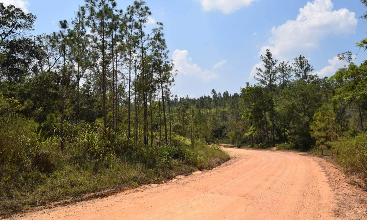 2020Acres20Privassion20Creek20Mountain20Pine20Ridge20032