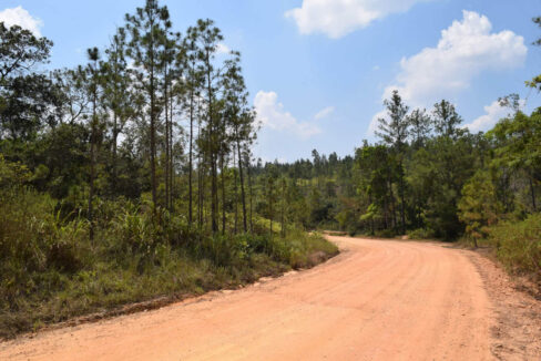 2020Acres20Privassion20Creek20Mountain20Pine20Ridge20032