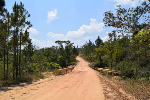 2020Acres20Privassion20Creek20Mountain20Pine20Ridge20033