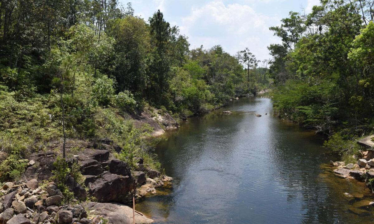 2020Acres20Privassion20Creek20Mountain20Pine20Ridge20034