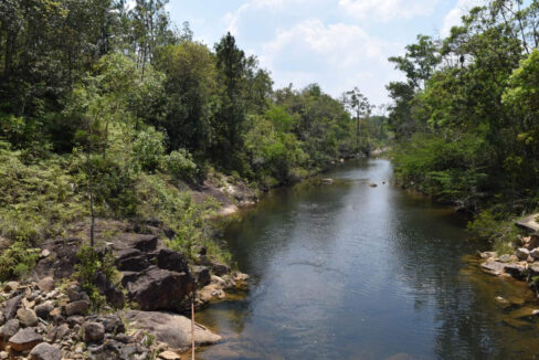 2020Acres20Privassion20Creek20Mountain20Pine20Ridge20034