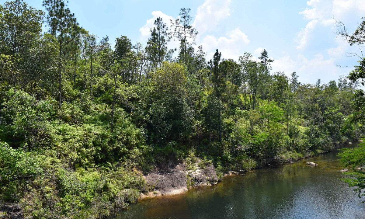 2020Acres20Privassion20Creek20Mountain20Pine20Ridge20035