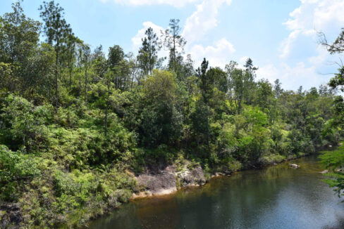 2020Acres20Privassion20Creek20Mountain20Pine20Ridge20035