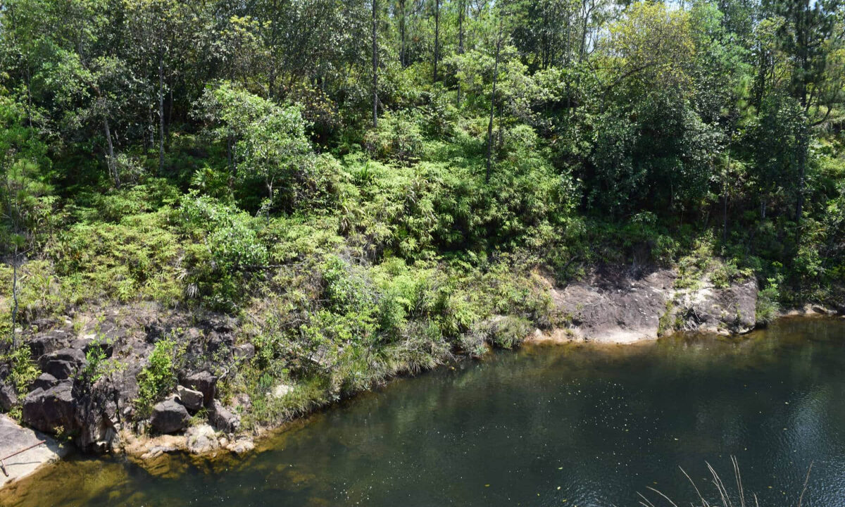2020Acres20Privassion20Creek20Mountain20Pine20Ridge20036
