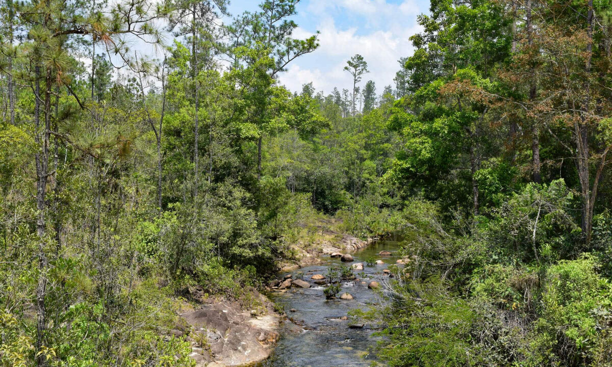 2020Acres20Privassion20Creek20Mountain20Pine20Ridge20037