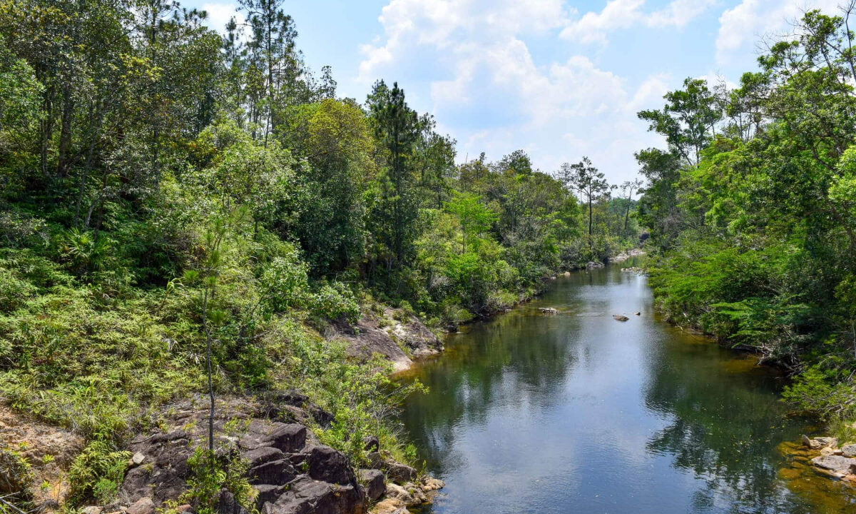 2020Acres20Privassion20Creek20Mountain20Pine20Ridge20038