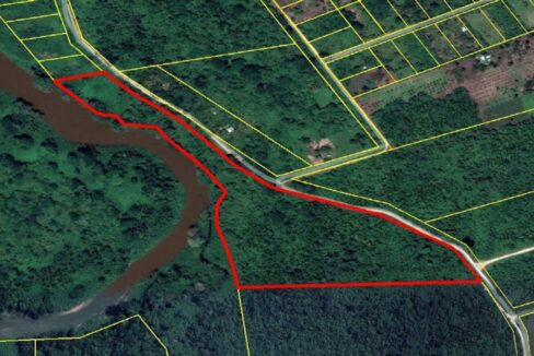 24-Acreswithriverfrontagebelize-1110x623