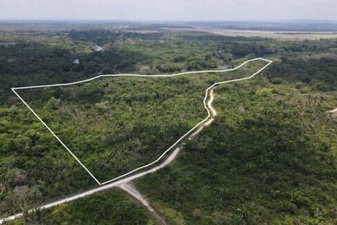 24acresriverfrontagemountpleasantbelize1web-1110x623