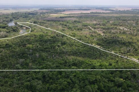 24acresriverfrontagemountpleasntbelize2web-1110x623