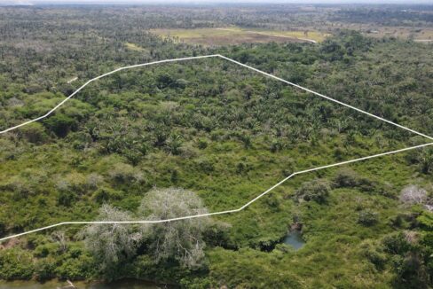 24acresriverfrontmountpleasanrbelize4web-1110x623