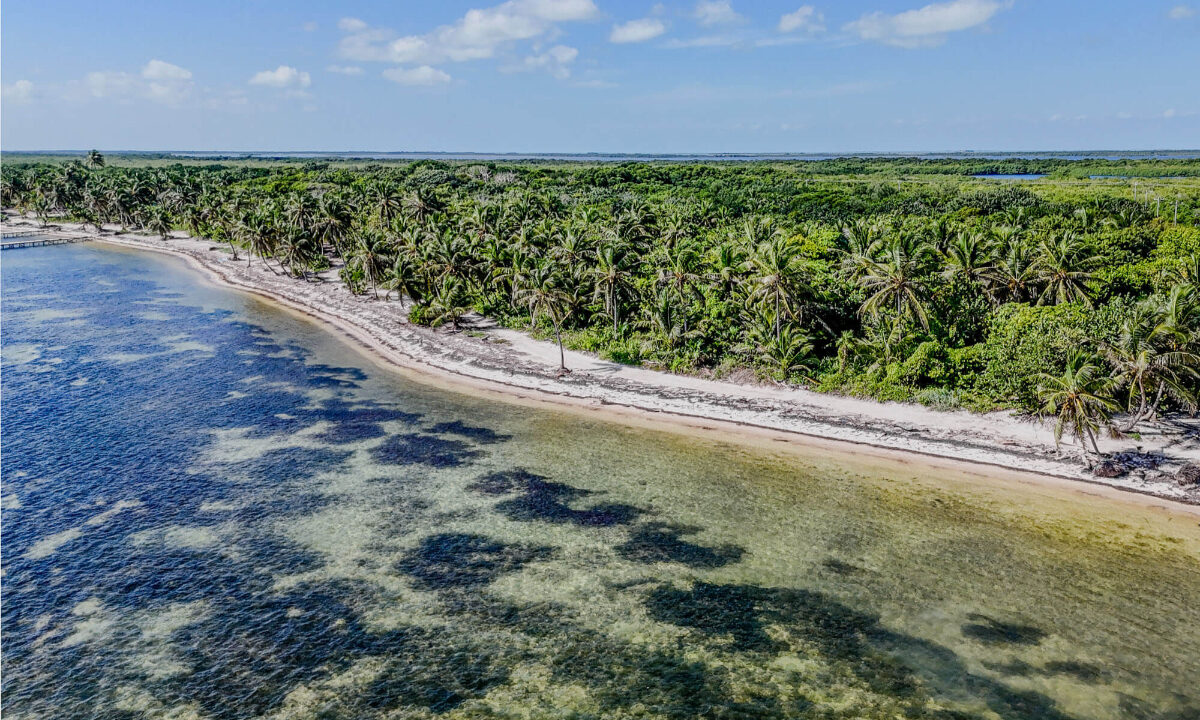 2720Acre20Beachfront20Habanros20Beach20Ambergris20Caye2008
