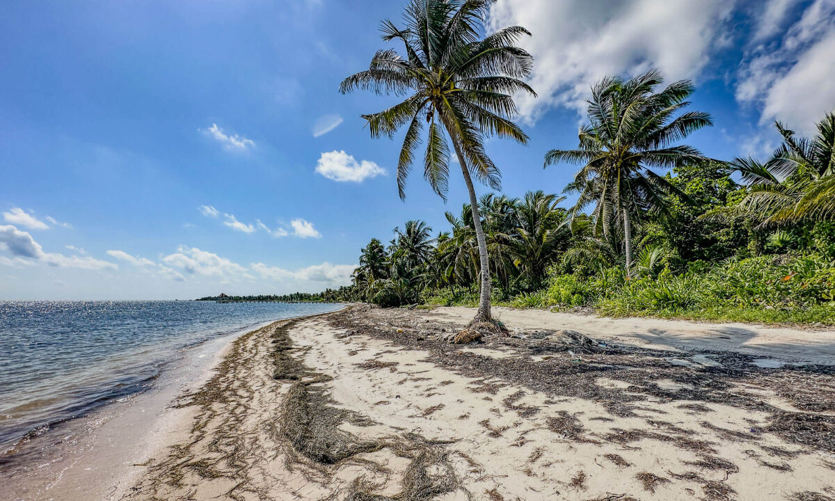 2720Acre20Beachfront20Habanros20Beach20Ambergris20Caye2012