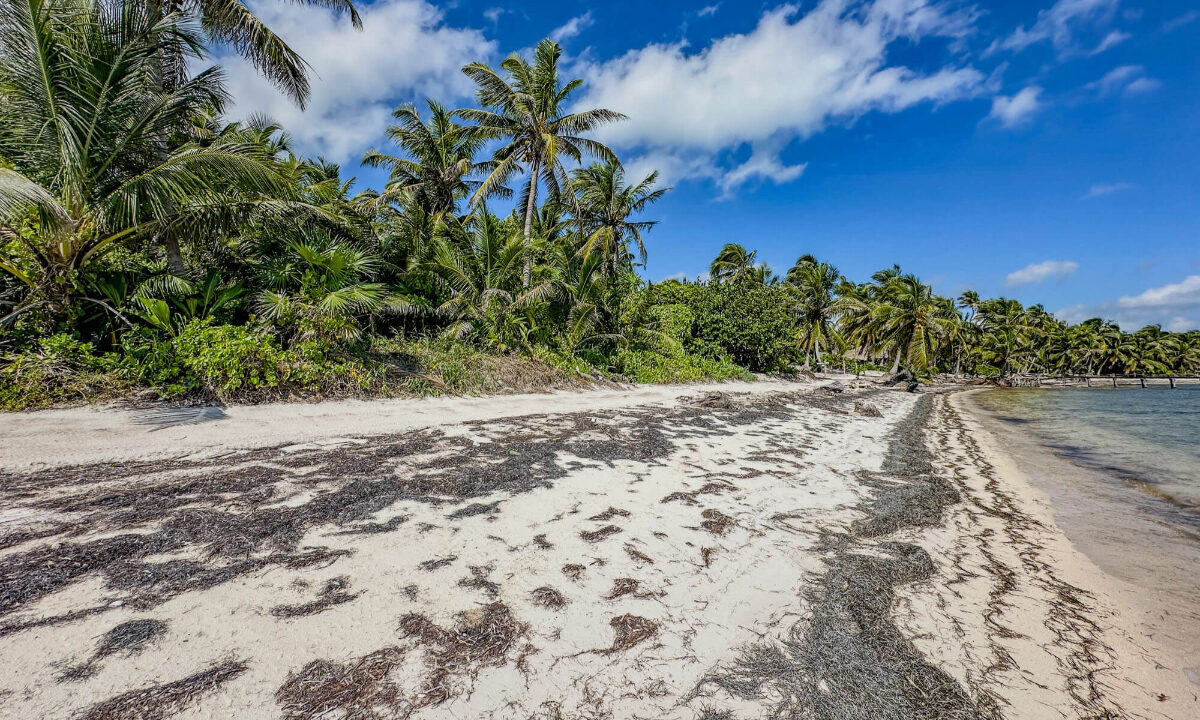 2720Acre20Beachfront20Habanros20Beach20Ambergris20Caye2013