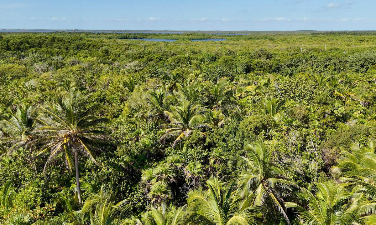 2720Acre20Beachfront20Habanros20Beach20Ambergris20Caye2021