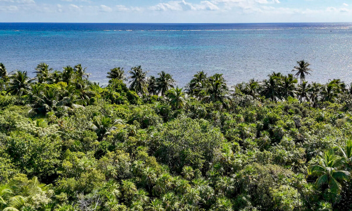 2720Acre20Beachfront20Habanros20Beach20Ambergris20Caye2022